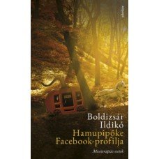 Hamupipőke Facebook-profilja     12.95 + 1.95 Royal Mail